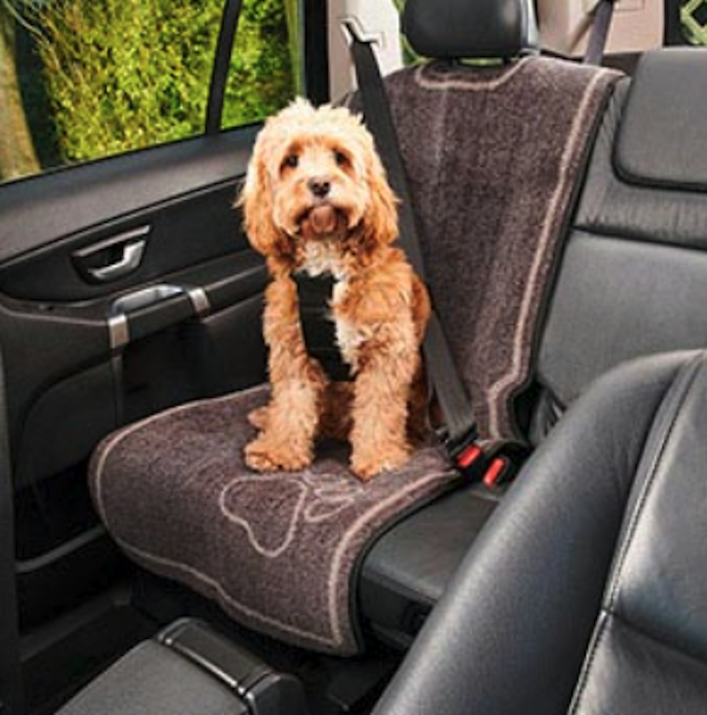 Dog booster seat pets at home discount